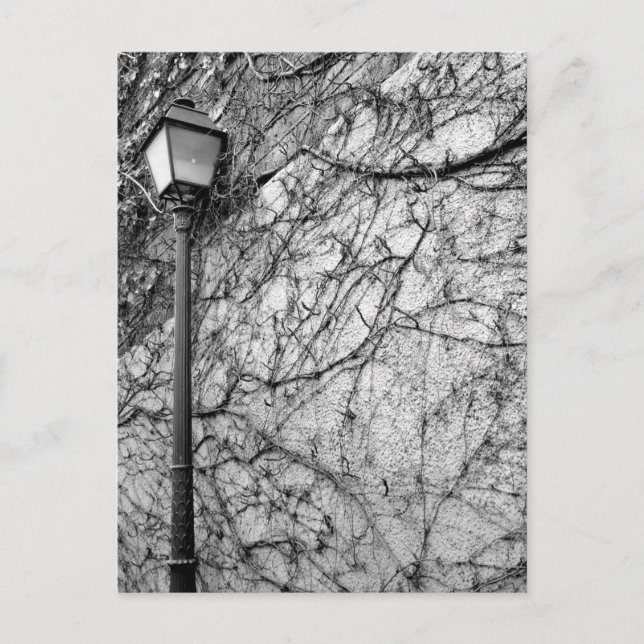 Black & White Foto von Paris Street Lamp Postkarte (Vorderseite)