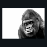 Black White Gorilla Poster<br><div class="desc">Digital Computer Animal Art - Uni Pop Kunst - Wilde Tiercomputer Bilder</div>