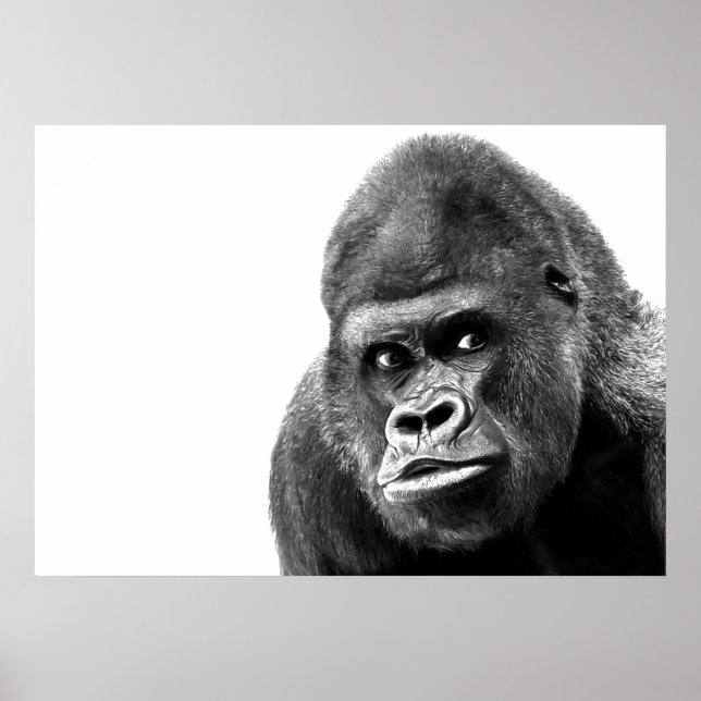 Black White Gorilla Poster (Vorne)