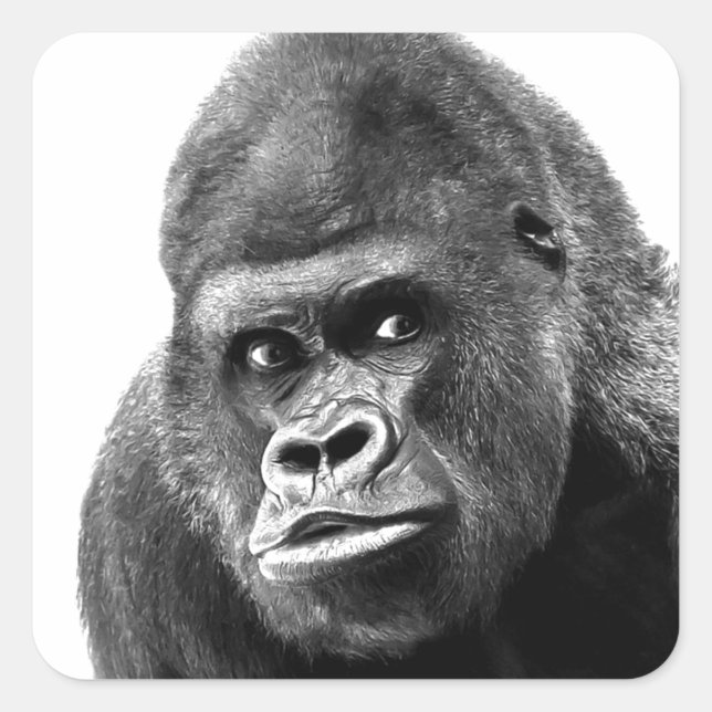 Black White Gorilla Quadratischer Aufkleber (Vorderseite)