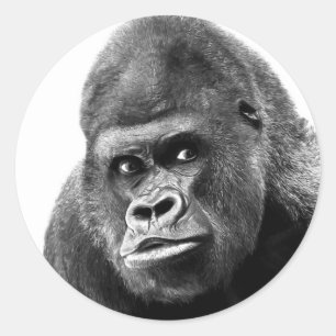 Black White Gorilla Runder Aufkleber