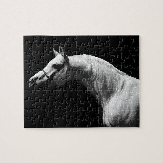 Black & White Horse - Creative Animal Art (Horizontal)