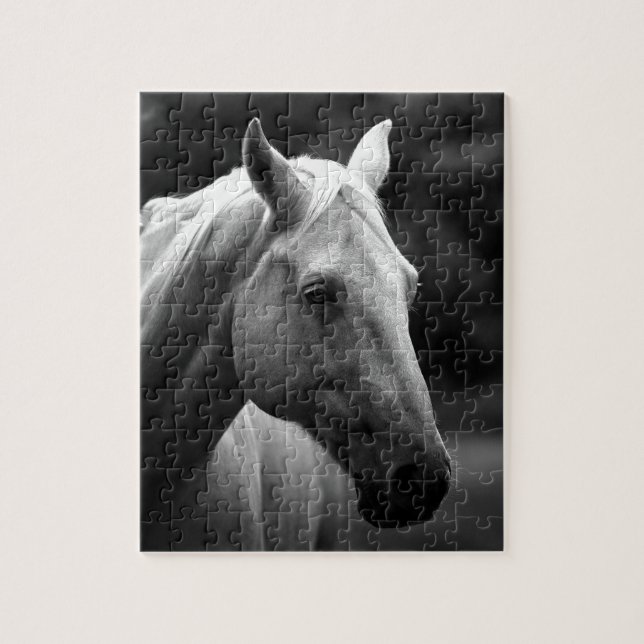 Black White Horse Foto - Animals (Vertikal)