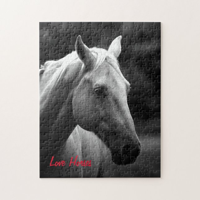 Black White Horse Foto - Animals Art Love Horses (Vertikal)