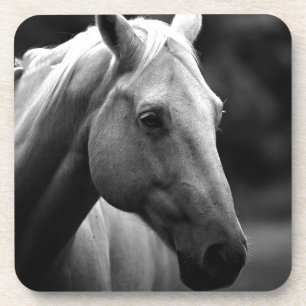 Black White Horse Untersetzer