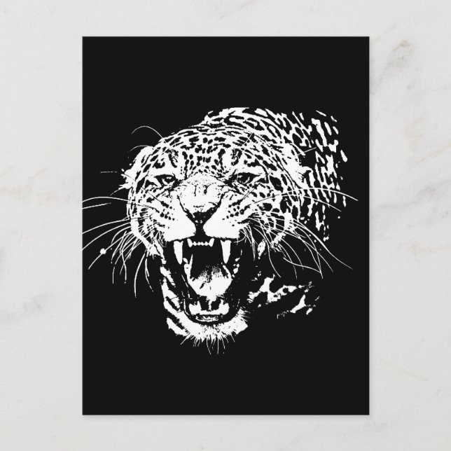 Black & White Jaguar Postkarte (Vorderseite)