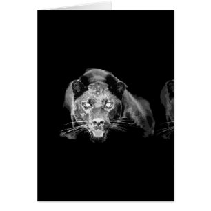 Black & White Jaguar - Wildkatzen Karten zum Verka