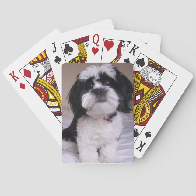 Black & White Lhasa Apso Spielkarten (Rückseite)