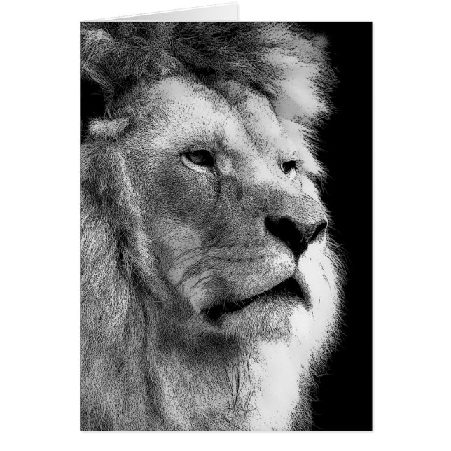 Black White Lion (Vorne)