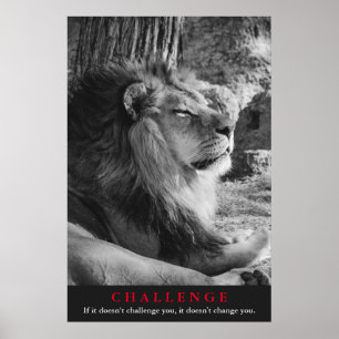 Black & White Lion Challenge Poster