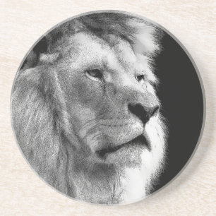Black White Lion Sandstein Untersetzer
