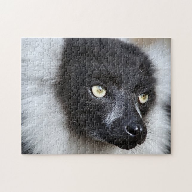 Black & White Ruffed Lemur, Jigsaw Puzzle (Horizontal)