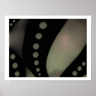 Black & White Smooth ~ Imprimer / Poster