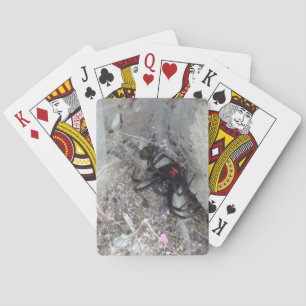 Black Witw Bicycle Playing Cards Spielkarten