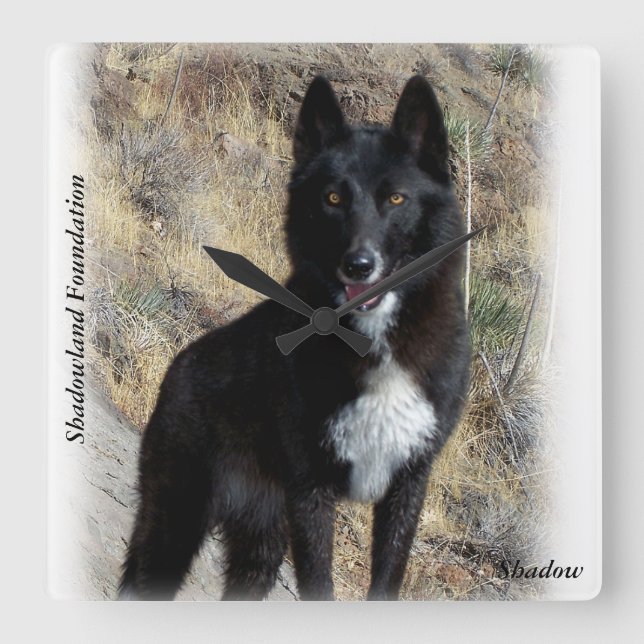 Black Wolf Clock Quadratische Wanduhr (Vorderseite)