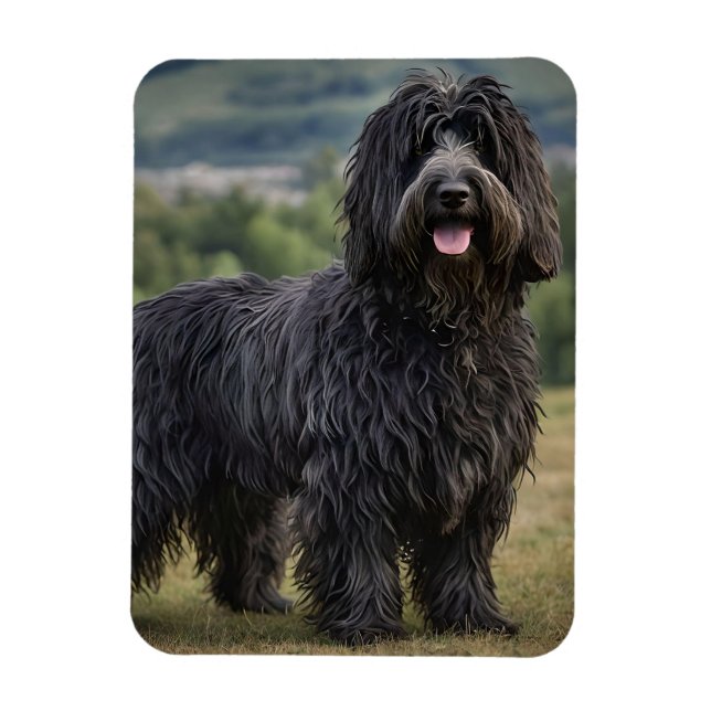 Black Wooly Bergamasco Sheepdog, Magnet (Vertikal)