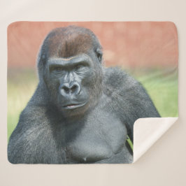 Blackback Gorilla Lope Portrait Sherpadecke