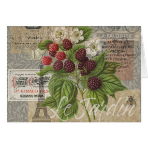 Blackberries Floral Garden Flower Papillon Art