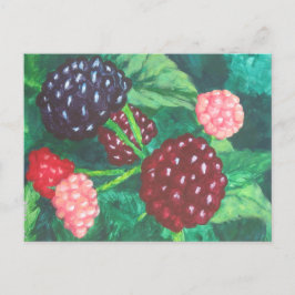 BlackBerry aller Alters des Weinberges Postkarte