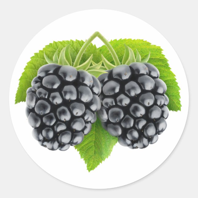 BlackBerry auf Blätter Runder Aufkleber (Vorderseite)
