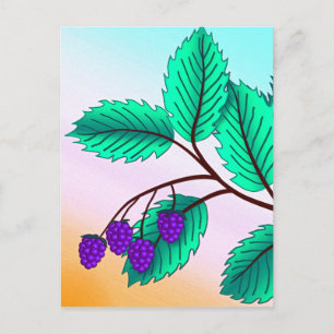 BlackBerry auf Zweig Postkarte