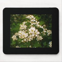 BlackBerry Blossom Mousepad