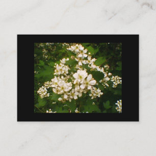 BlackBerry Blossom Visitenkarte