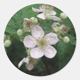 BlackBerry-Blume-Aufkleber Runder Aufkleber