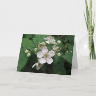BlackBerry Blume Benutzerdefinierte Grußkarte Karte