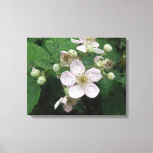 BlackBerry Blume Canvas drucken Leinwanddruck