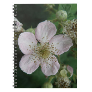 BlackBerry-Blume-Macro-Notebook Notizblock