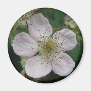 BlackBerry Blume Makro Magnet