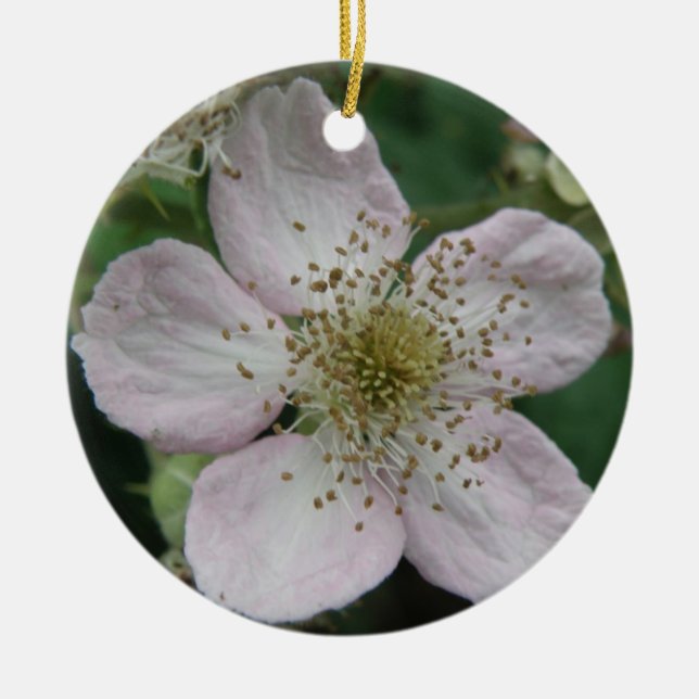 BlackBerry Blume Makro Ornamente (Vorne)