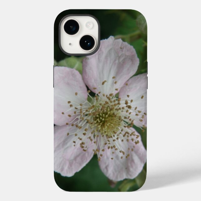 BlackBerry Blume Makro title_seo2 (Rückseite)