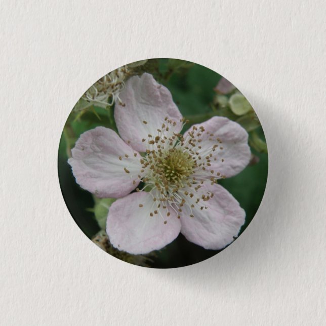 BlackBerry-Blume-Makroschaltfläche Button (Vorderseite)