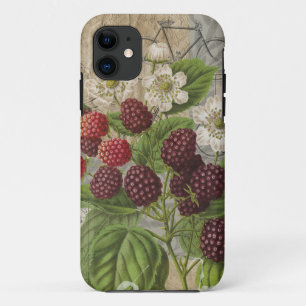BlackBerry Blumengarten Blume Schmetterling Kunst Case-Mate iPhone Hülle
