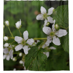 BlackBerry-Blüten Duschvorhang