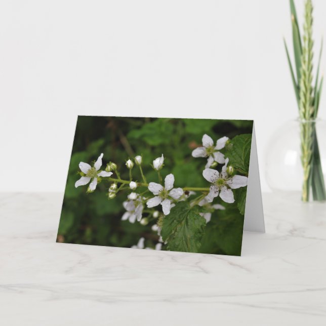 BlackBerry-Blüten Karte (Vorderseite)