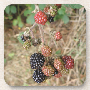 BlackBerry Bonanza Cork Untersetzer