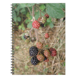 BlackBerry Bonanza Notebook Notizblock
