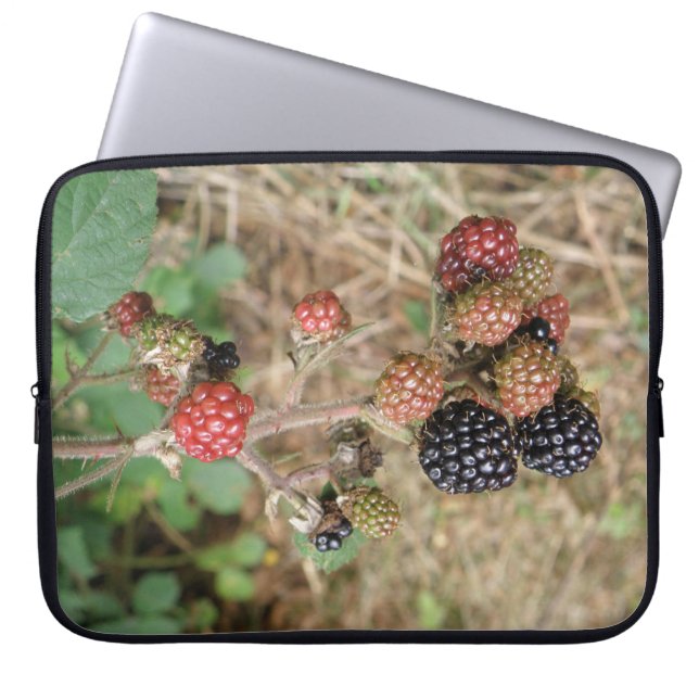 BlackBerry Bonanza Notebook-Tasche Laptopschutzhülle (Vorderseite)