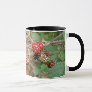 BlackBerry Bonanza Tasse