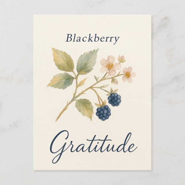 Blackberry — Dankeskarten Postkarte (Vorderseite)