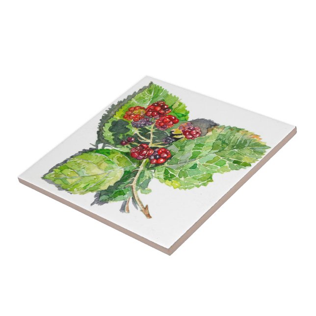 BlackBerry Fliese (Seite)