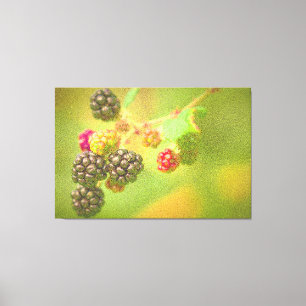 "BlackBerry Fruit Pflanze" Niedliches Foto. Jetzt Leinwanddruck