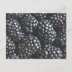 BlackBerry Postkarte