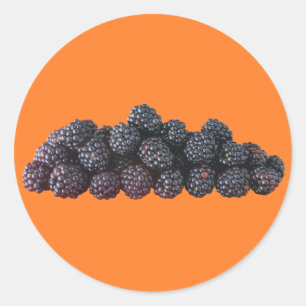 BlackBerry Runder Aufkleber