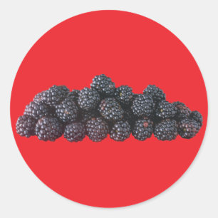 BlackBerry Runder Aufkleber
