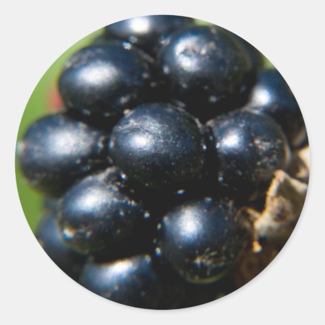 BlackBerry Runder Aufkleber (Vorderseite)