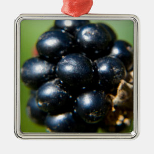 BlackBerry Silbernes Ornament